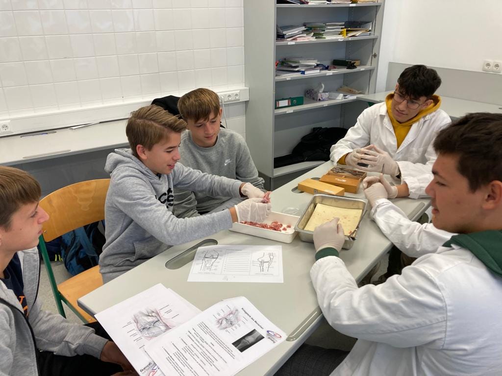 Science Lab Borg Science Day im BORG