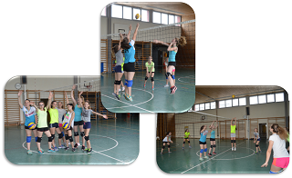 volleyball gruppiert 320